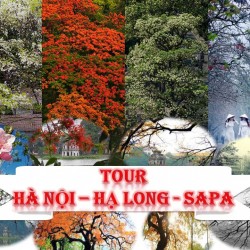 Tour Hà Nội Khởi Hành Từ Kiên Giang