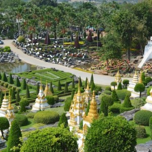 Có gì HOT trong vườn thực vật Nong Nooch ở Thái Lan?